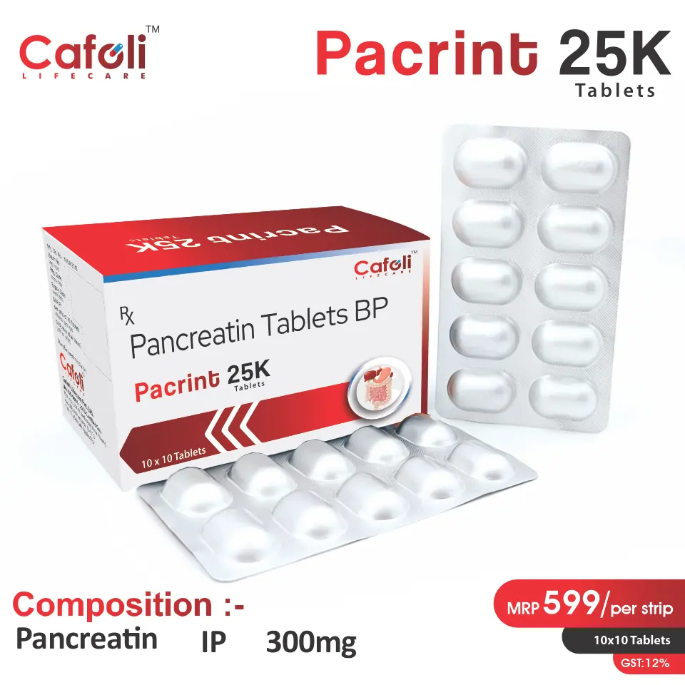 Pancreatin 300mg with Lipase 25,000 Units, Amylase 20,000 Units, and Protease 1,000 Units at the best price in PCD Pharma Franchise for Comprehensive Digestive Support.